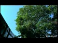 Senthoora Poove Movie Climax