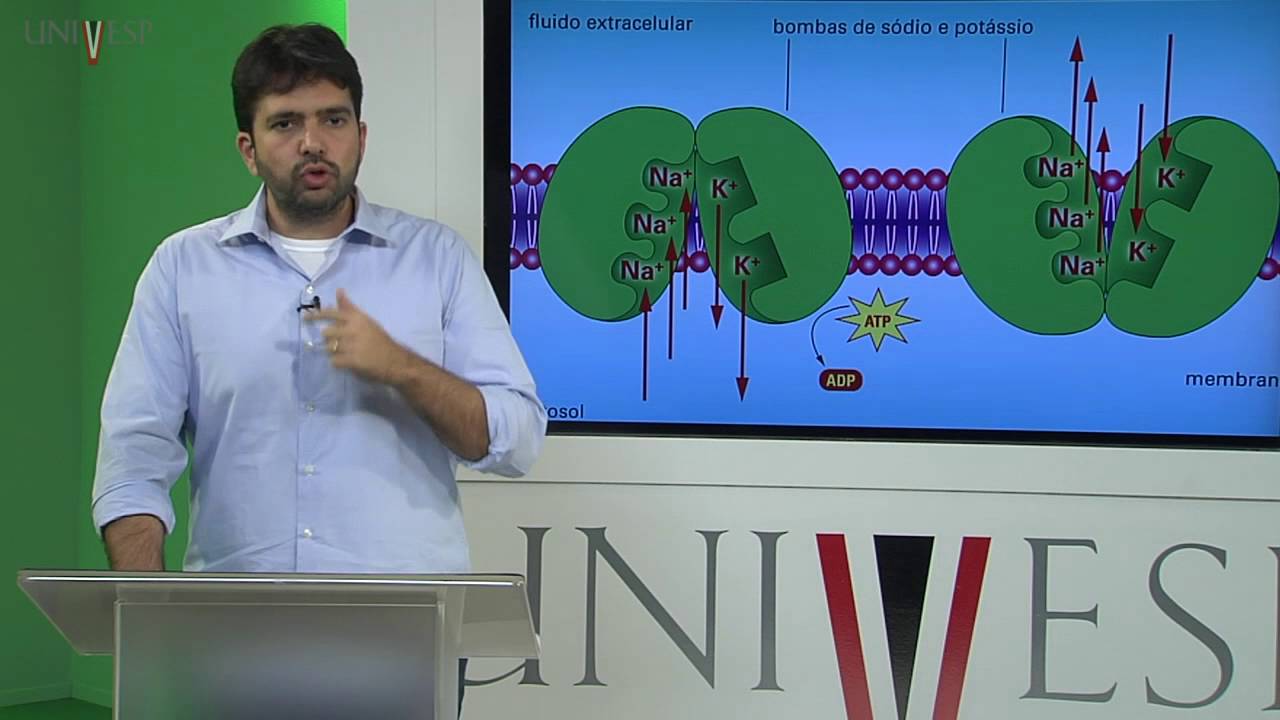 Corpo Humano: Órgãos e Sistemas - Aula 03 - Bioeletrogênese