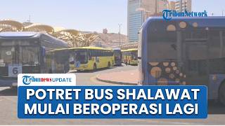Bus Shalawat Sudah Beroperasi Lagi seusai Puncak Haji, Dahulukan Lansia dan Disabilitas untuk Naik