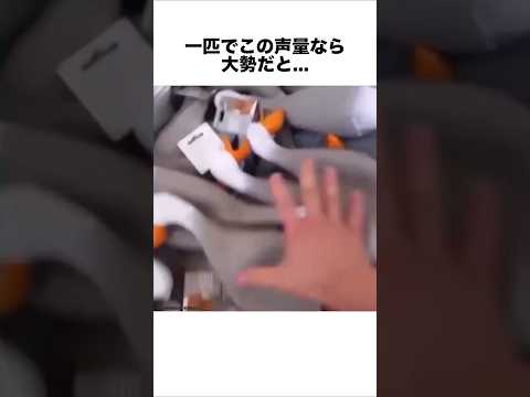 予想通りすぎる展開に‥