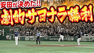 [討論] 引起討論的安田尚憲再見安打