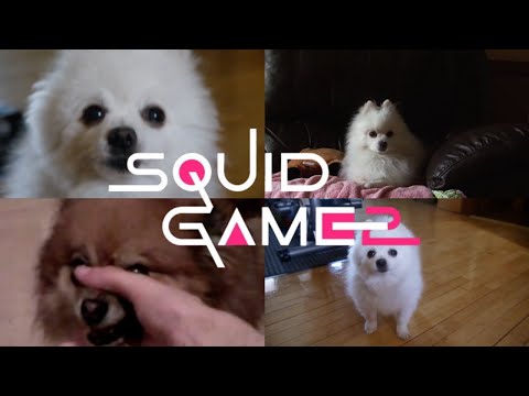 Mingle Game Song &ldquo;Round and Round&rdquo; | Squid Game: Season 2 |(Dog Cover)