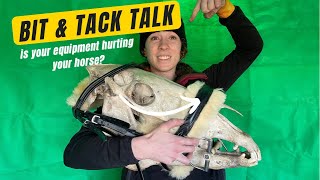 Bit, Tack & Equipment Talk ft. My new horse | part 1