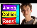 Jacob Collier – Hallelujah live (Voice Teacher REACTION!)