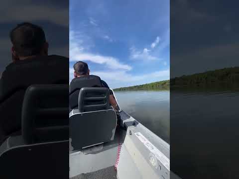 Lago Itaipu - Pato Bragado/PR
