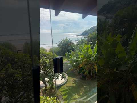 Praia paradisíaca em Santa Catarina 🌴🌊