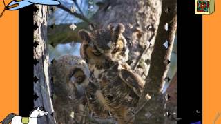 Turn around and they're grown