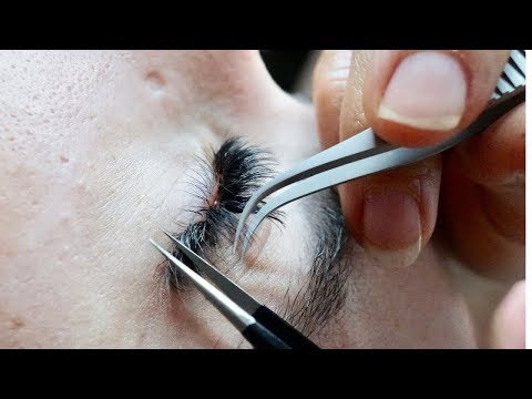 Volumen Ruso 3D 4D y 5D en Capas y Adherencia de Abanicos ⎛  con Abby Tenorio en Beauty Lash ↩︎