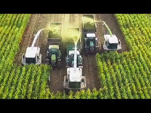 3 x CLAAS JAGUAR Lohnunternehmen Appel beim Mais häckseln