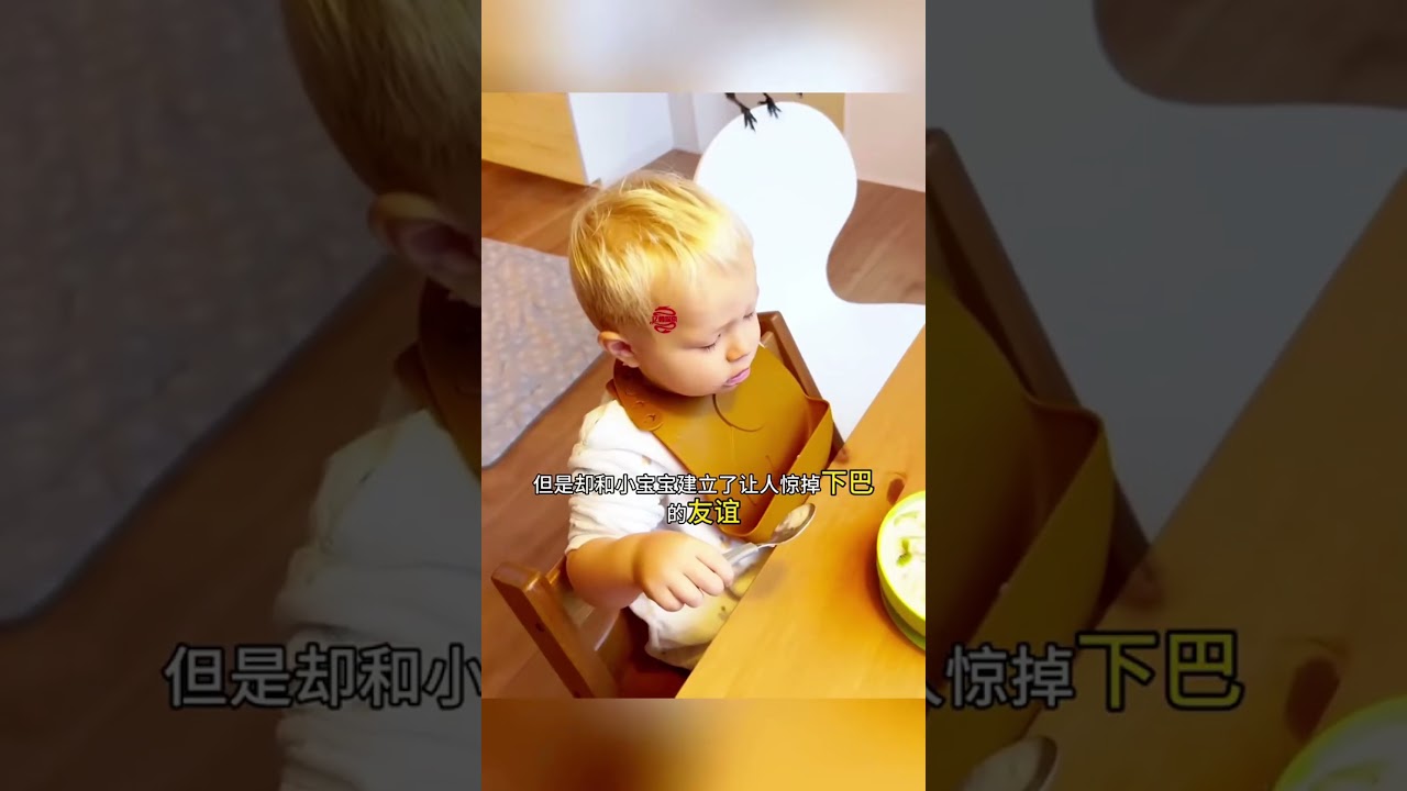 两岁宝宝与乌鸦的神奇友谊，看完我惊呆了！