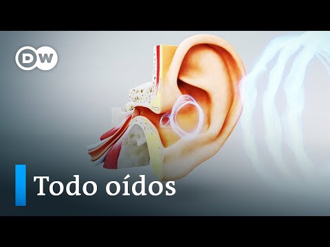 El oído, un supersentido -  ¿Pueden los sordos volver a oír? | DW Documental
