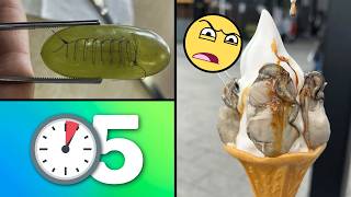 25 Cosas que NO Sabías hace 5 minutos!! ⏰😲 [273]