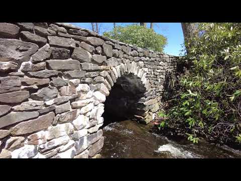 ⁴ᴷ⁶⁰ Walking Moore State Park in Paxton, Massachusetts