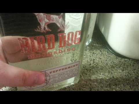 Bird dog peppermint moonshine challenge