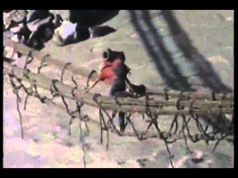 Giancarlo Corbellini, una vita per il trekking