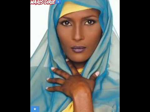 They Knew Her Face. In 1997, Waris Dirie Made Them Hear Her Story.