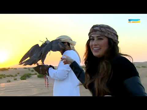 img-video
