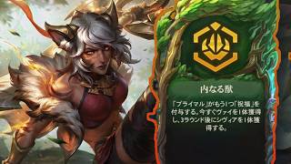 【TFT】 シヴィア　ハンター