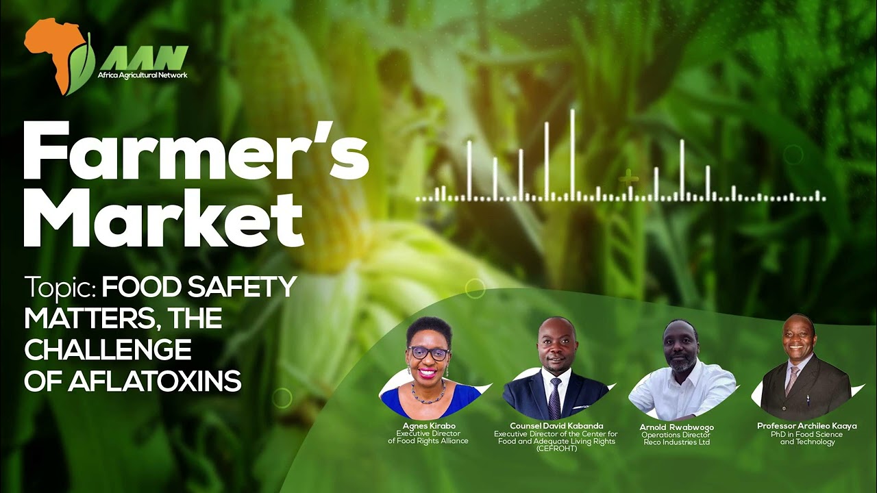 Is all the food on the market contaminated with aflatoxins?