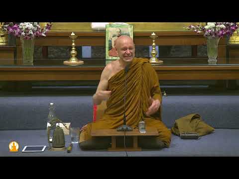 Learning from Everything | Ajahn Brahmali | 24 March 2023