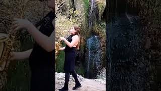 Download lagu My Heart Will Go On (Titanic) Sax - Saxophone Cover mp3