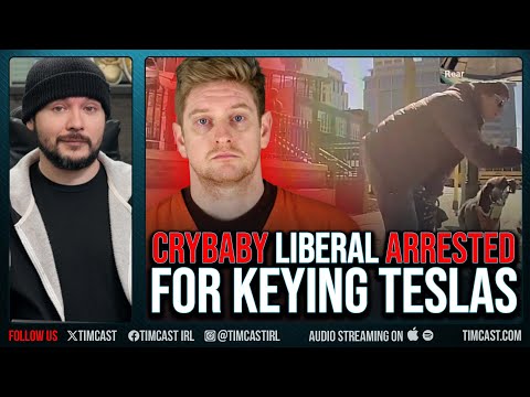  Liberal ARRESTED For Keying Tesla, Appears TO CRY In Mugshot, Worked For Tim Walz Government 