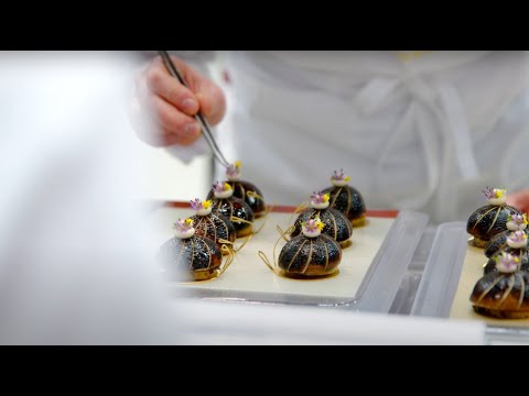 TEASER for our food documentary