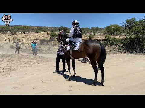 La Tecate Vs El Pacifico