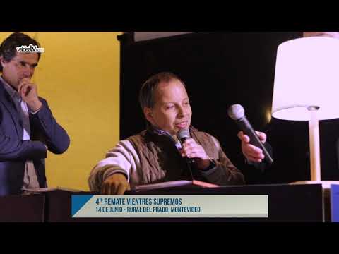 Vientres Supremos 2019