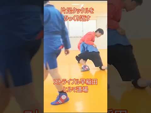片足タックルをひっくり返すカウンター技 #格闘技 #サンボ #柔術