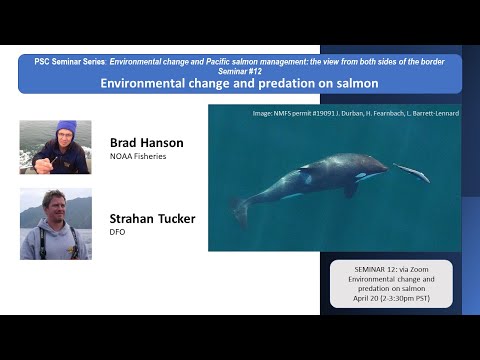 PSC Seminar Series #12: Environmental Change and Predation on Salmon