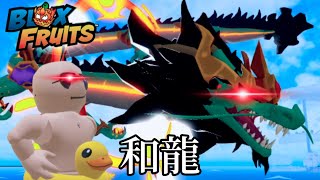 【blox fruits】東のドラゴン和龍でPKプレイヤーどもをボコボコにしてきたったww【ブロックスフルーツ】【ロブロックス　Roblox】