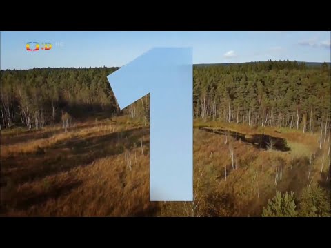 Chyby ČT # 223 – Zprávičky (9. 2. 2021)