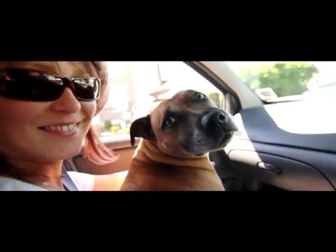 EmigraczE - wGorONcejWodzieCompany - EmigraczE feat Ritchie Ruftone Prod. Puzon (official video)