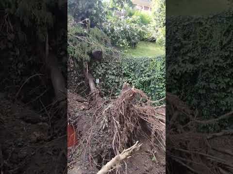 Generico luglio 2022