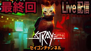 【Live配信　最終回】 #5 ストレイ(気ままな猫散歩)