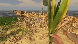 【Stranded Deep】無人島漂流サバイバル #1【PS4】