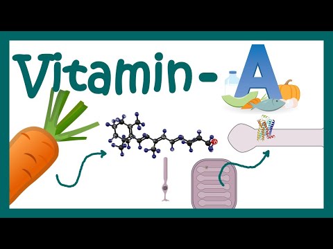Vitamin A | vitamin A Function | vitamin A metabolism | What happens when vitamin A is deficient?