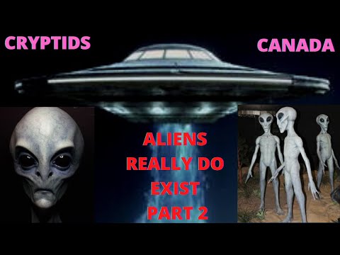 Part 2 The night I realized Aliens do exist. And UFO Incidents.