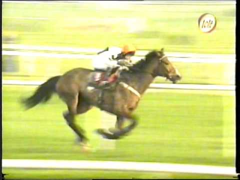 1997 - Cheltenham - Fulke Walwyn Kim Muir Handicap Chase - King Lucifer