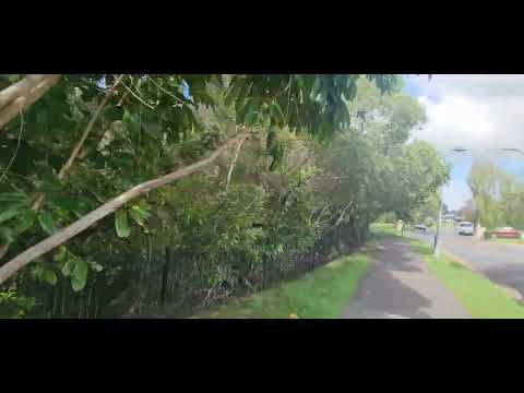 Lake lomandra , robina