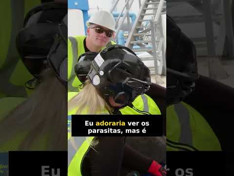 O milagre da recuperação do peixe-boi Jolo: o que mudou? #shorts