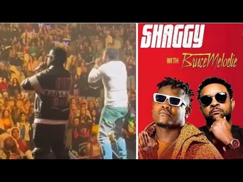 🚨Bruce Melodie & Shaggy perform - When she's Around' live in Dallas [. iHeartRadio  Muceceke 🤫