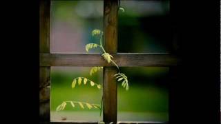 Something That Was Beautiful - Mario Biondi