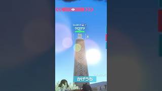 色違いケロマツを半自動化？して左手のスティック操作だけでゲットするんだ【ポケモンZA】