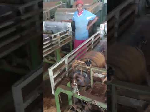 6mm 30inches coir rope (rollmudi)