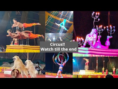 Circus | Dangerous and Thrilling Acts | Apollo Circus Show now at Mangalore