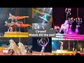 Circus Dangerous And Thrilling Acts Apollo Circus Show Now At Mangalore