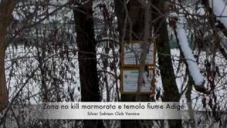 preview picture of video 'Zona No Kill Marmorata e Temolo - Fiume Adige Verona'