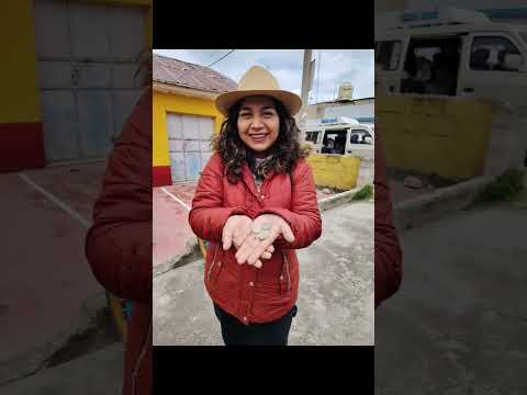 🌎La Paz, Copacabana y Perú #tradiciones #cultura #viajar #musica #turismo